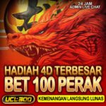 UCL300 Kalau Login Sekarang Lebih Praktis
