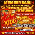 UCL300 | Platform Online dengan Sistem Responsif dan Modern